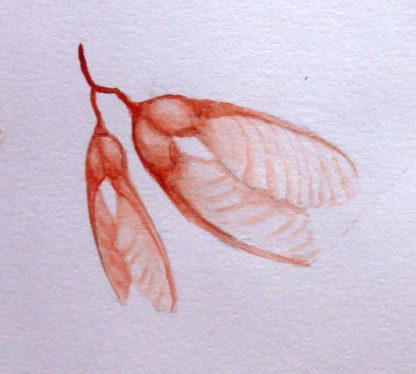 Venetian Red - Image 2