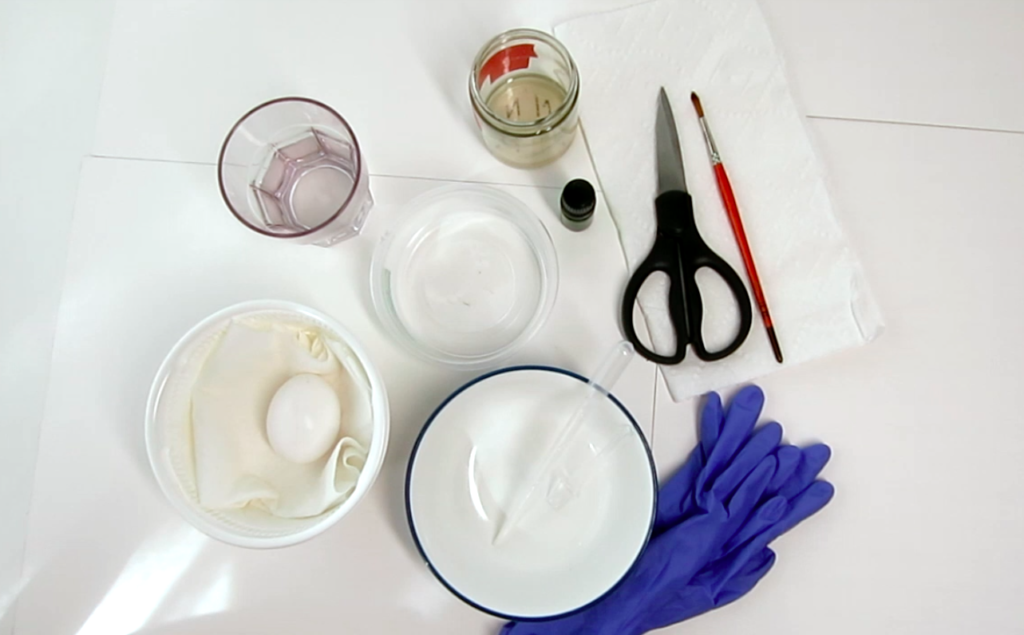Tools for making Egg Tempera. Egg, water, gum arabic, clove oil, scissors, brush, paper towels, gloves, bowls.