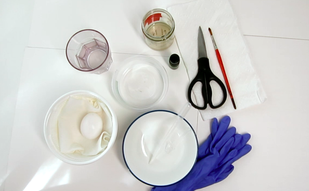 Tools for making Egg Tempera. Egg, water, gum arabic, clove oil, scissors, brush, paper towels, gloves, bowls. 
